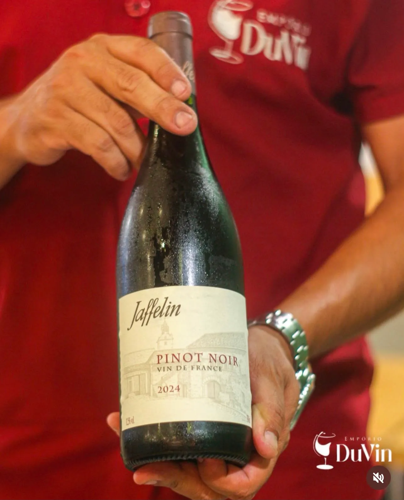 Vinho francês Jaffelin Pinot Noir, da carta de vinhos da Piazza di Itália, pizzaria napolitana em Mossoró